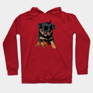 Cute Rottweiler Puppy Running With Tongue Out Hoodie